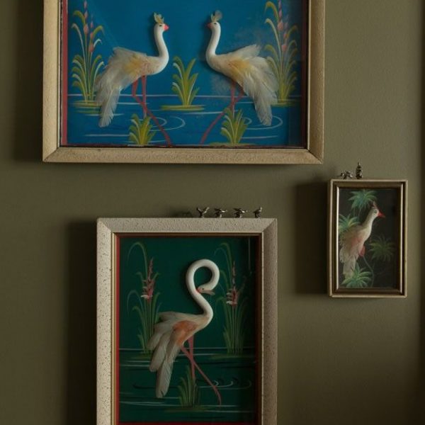 Pode parecer um conjunto, mas não é: os quadros de cisne foram encontrados em lugares diferentes.