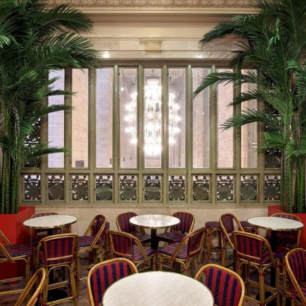 Campbell Palm Court