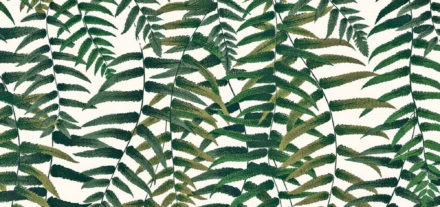 Deyrolle, gabinete de curiosidades em Paris. Veja mais:hardecor.com.br